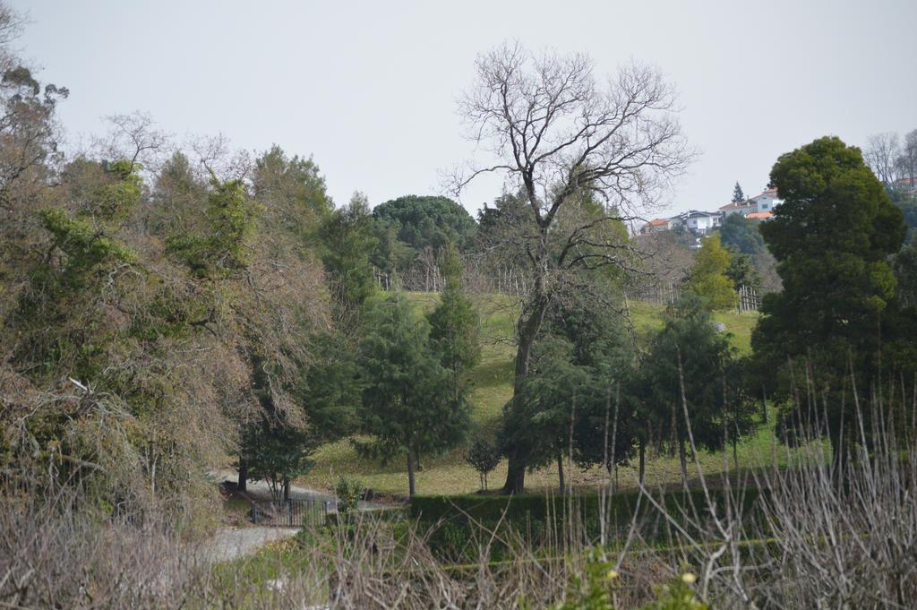 Casa Da Encosta - Quinta Da Costa Ostello Vila Nova de Famalicão Esterno foto